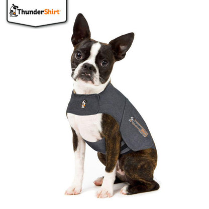 Anti-anxiety shirt for dogs