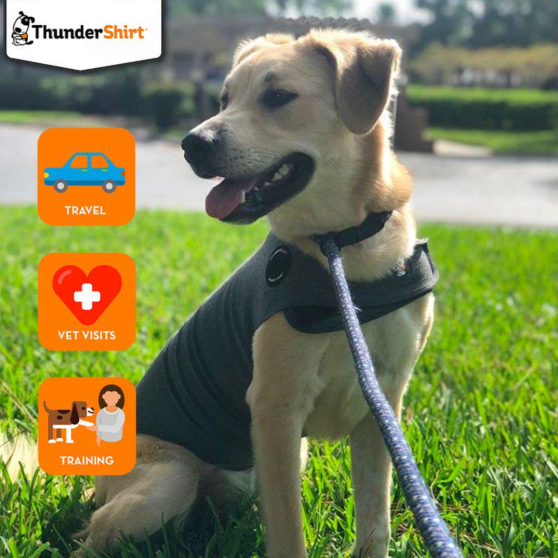 ThunderShirt grey pet wrap