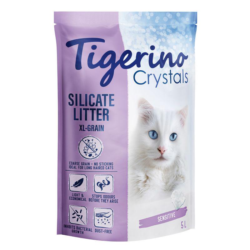 XL grain cat litter