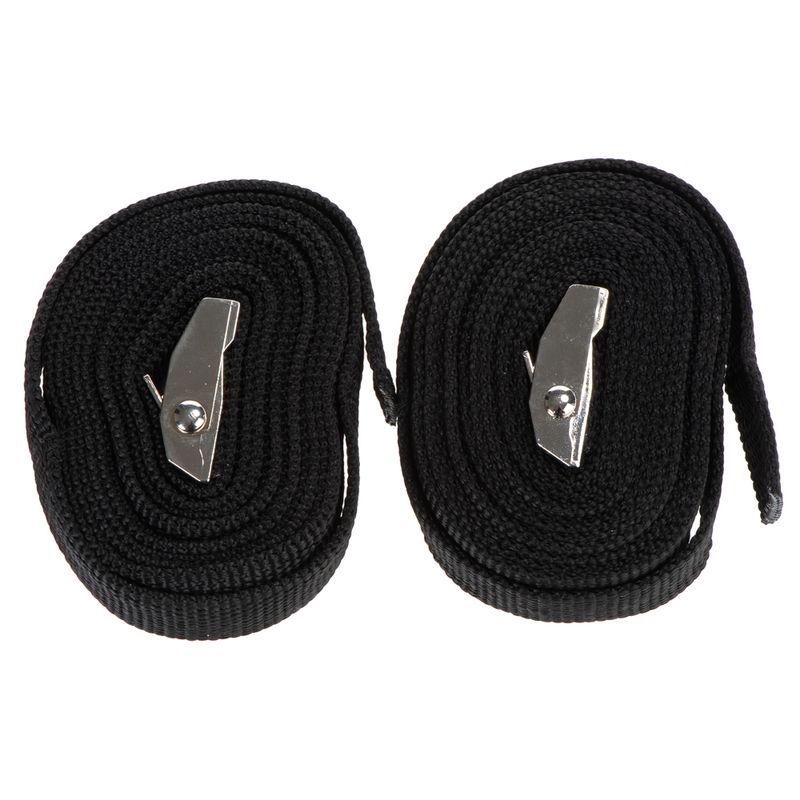 Lightweight dog transport box