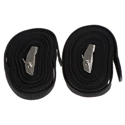 Lightweight dog transport box