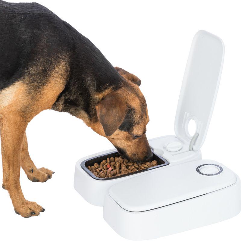 Dual meal pet feeder