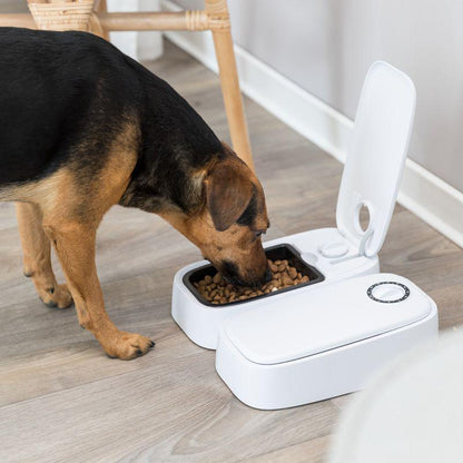 Pet food timer dispenser
