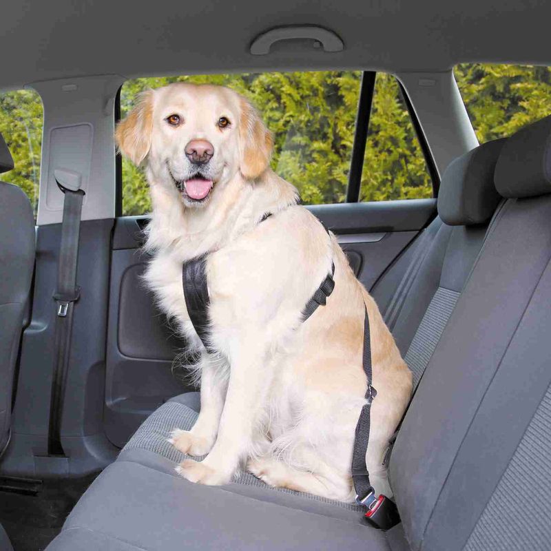 Trixie Dog Car Harness