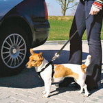 Load image into Gallery viewer, Trixie Dog Car Harness

