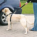 Load image into Gallery viewer, Trixie Dog Car Harness
