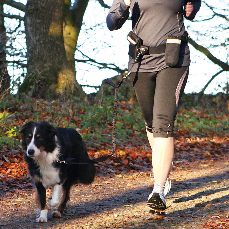 Adjustable waist leash