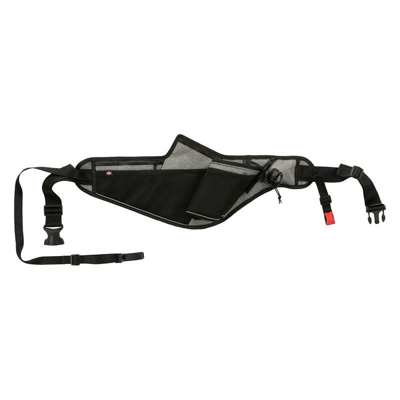 Hands-free dog leash