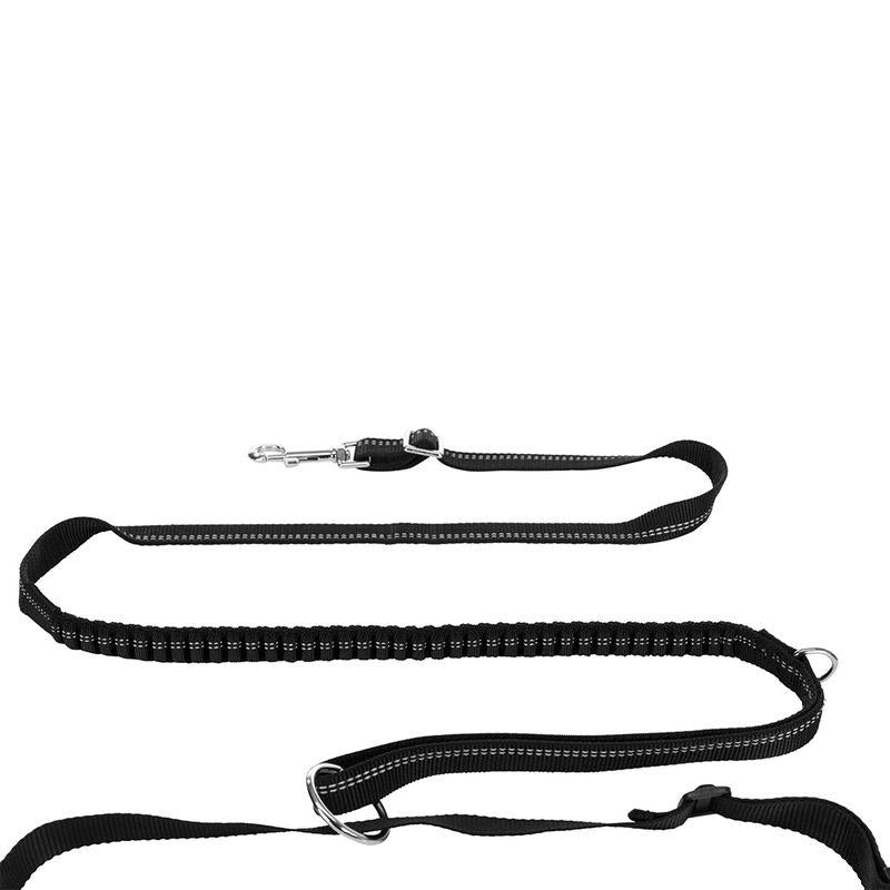 Shock-absorbing dog leash