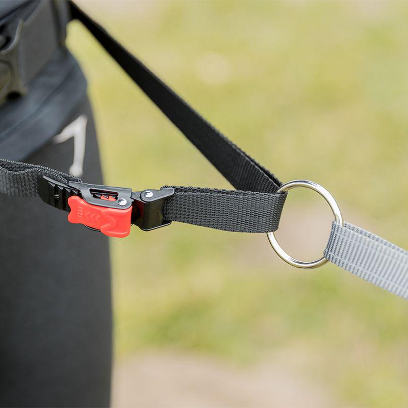 Pet running belt system