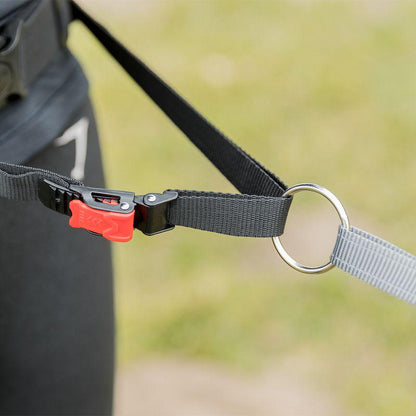 Pet running belt system