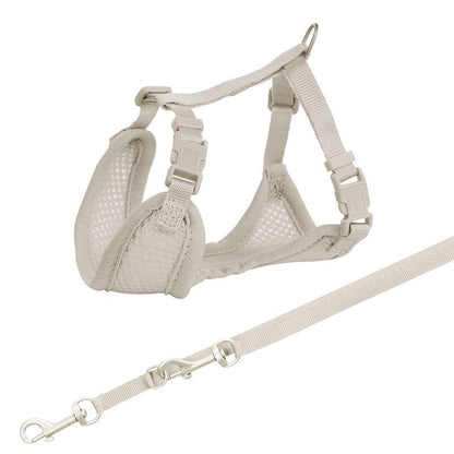 Comfortable starter dog harness