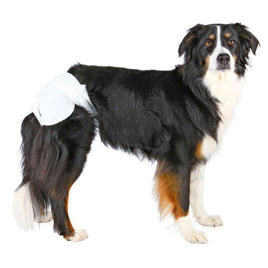 Disposable dog heat nappies
