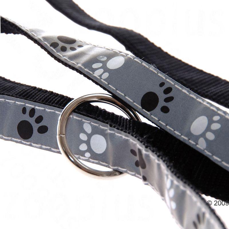 Reflective dog leash