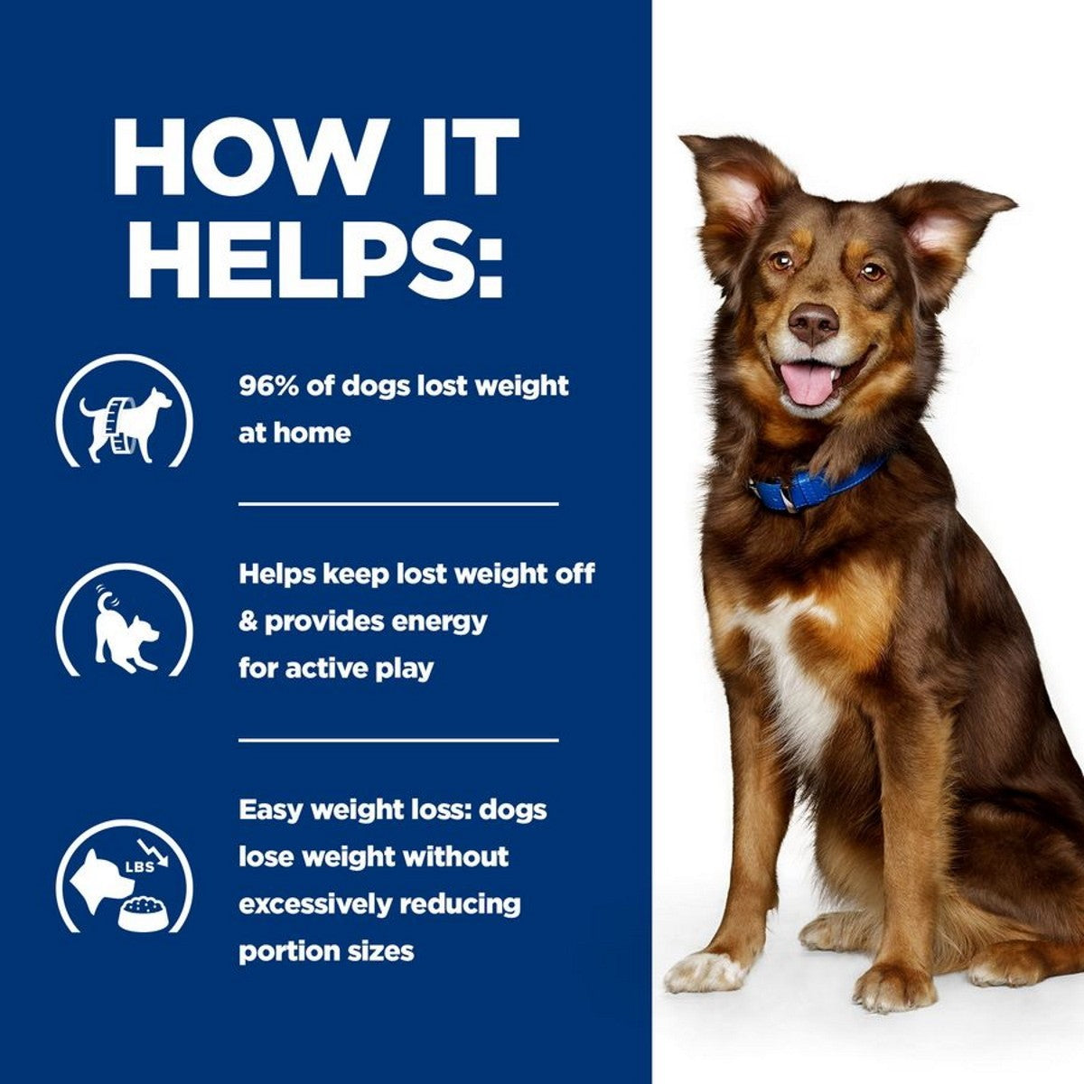 354 g Metabolic wet dog food can