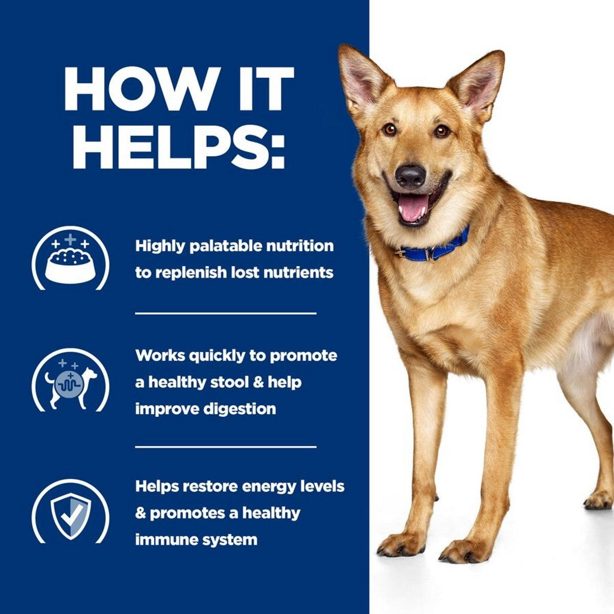 Hill’s i/d digestive care wet diet