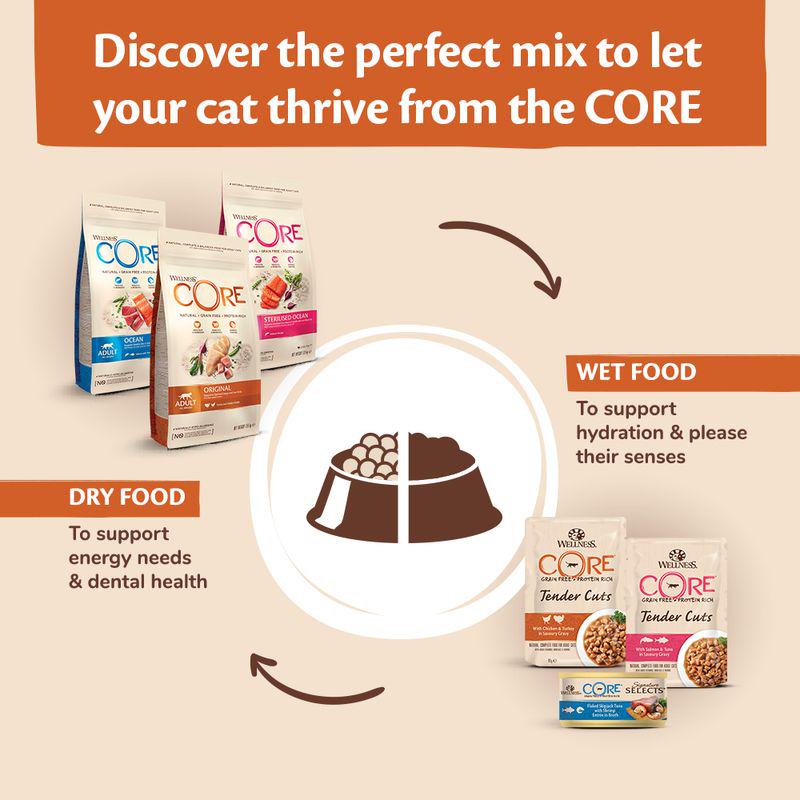 Wellness Core Adult Ocean Dry Cat Food