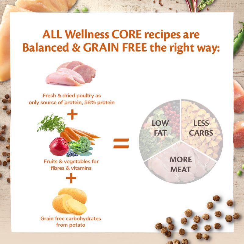Wellness Core Adult Sterilised Original Dry Cat Food