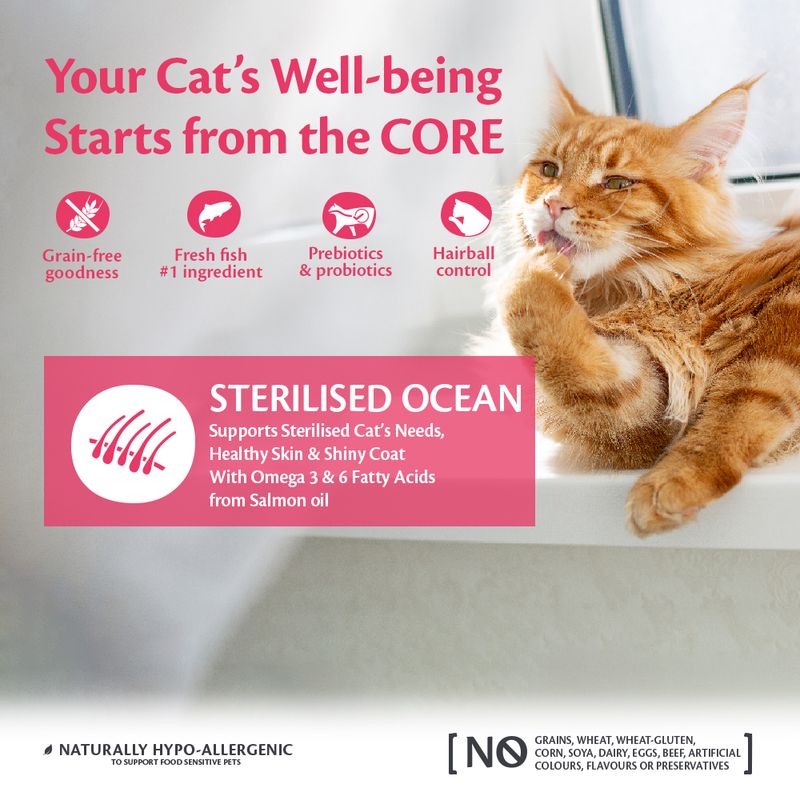 Wellness Core Adult Sterilised Ocean Dry Cat Food