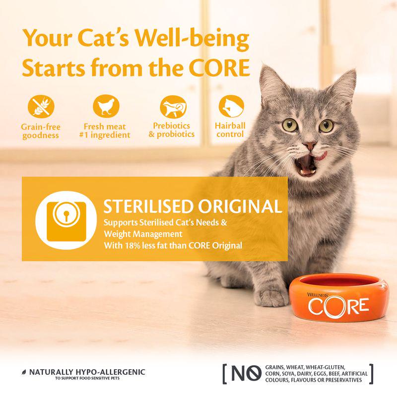 Wellness Core original cat mix