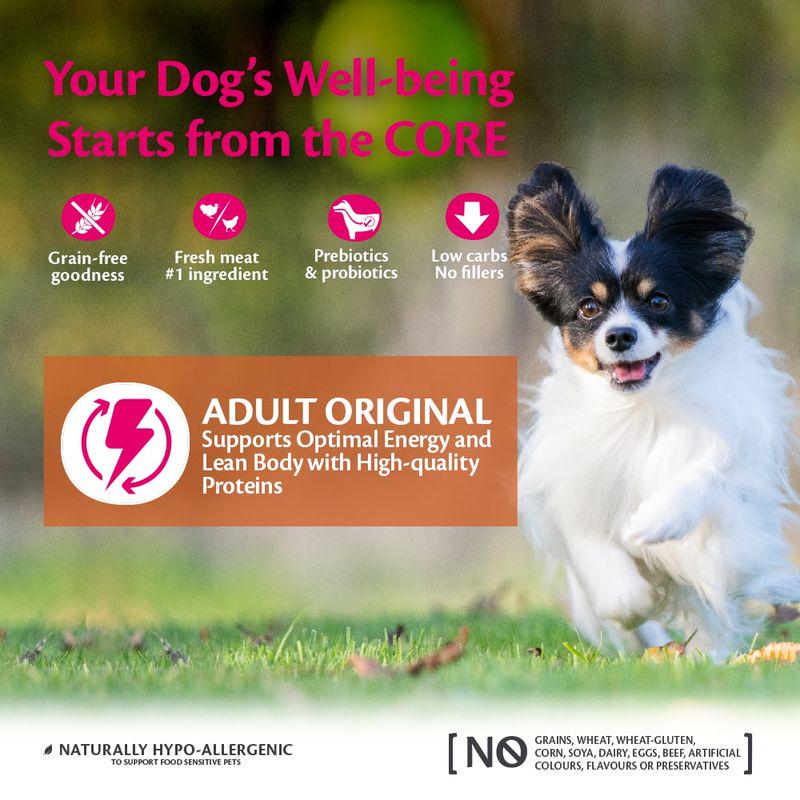 Original dry dog kibble