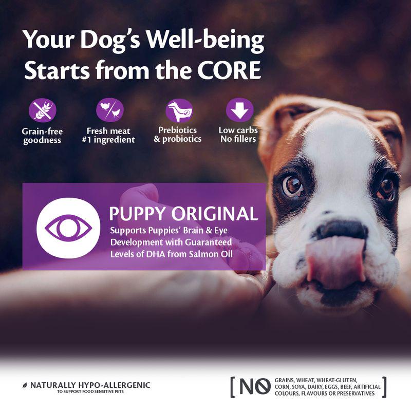 Small & medium puppy food