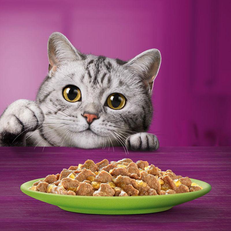 Whiskas 1+ Mixed Menu in Jelly