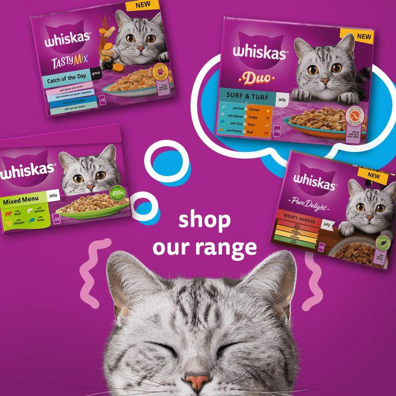 Whiskas 1+ Mixed Menu in Jelly