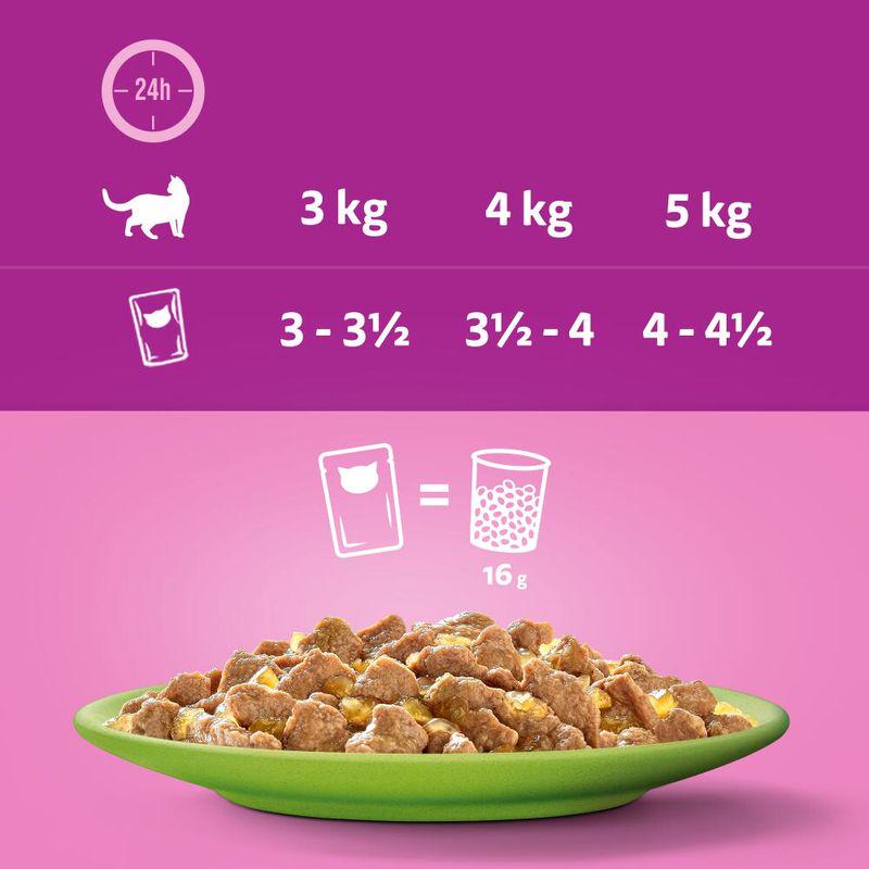 Jelly cat food Whiskas