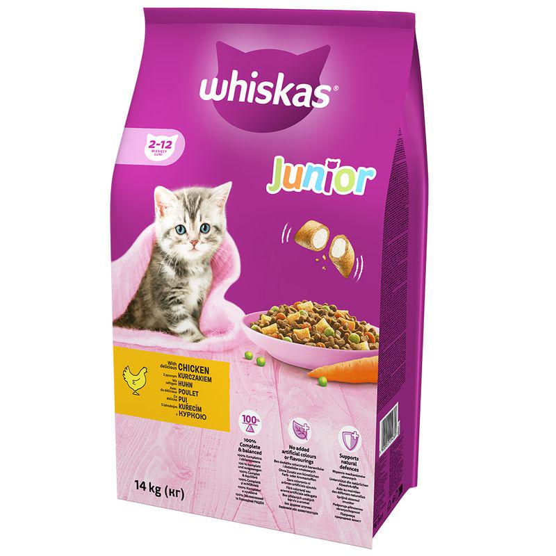 Nutritious food for kittens