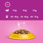 Load image into Gallery viewer, Whiskas Senior 7+ Chicken
