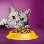 Load image into Gallery viewer, Whiskas Senior 7+ Chicken
