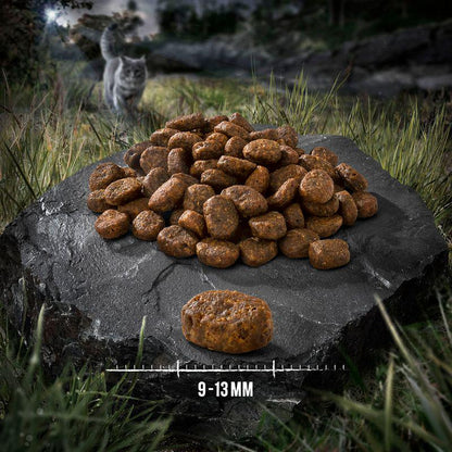 Natural beef cat meal