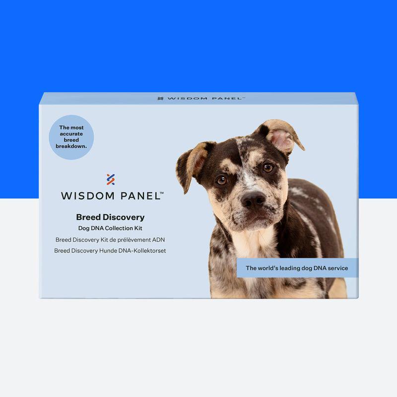 Wisdom Panel Breed Discovery Dog DNA Test