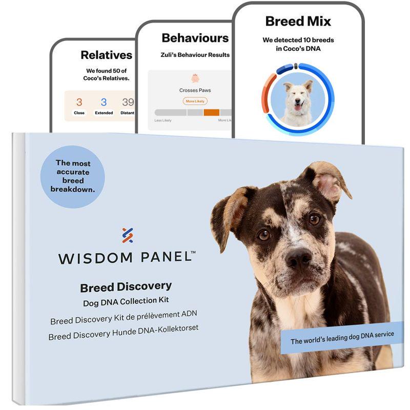 Wisdom Panel Breed Discovery Dog DNA Test