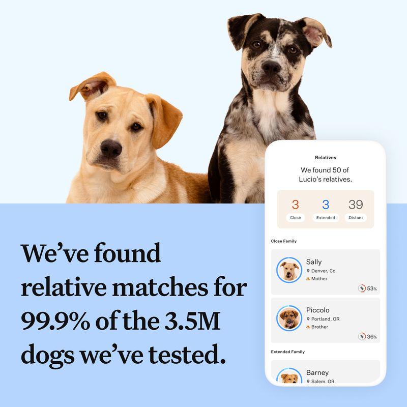 Wisdom Panel Breed Discovery Dog DNA Test