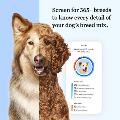 Pet DNA Report