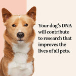 Load image into Gallery viewer, Wisdom Panel Premium Dog DNA Test
