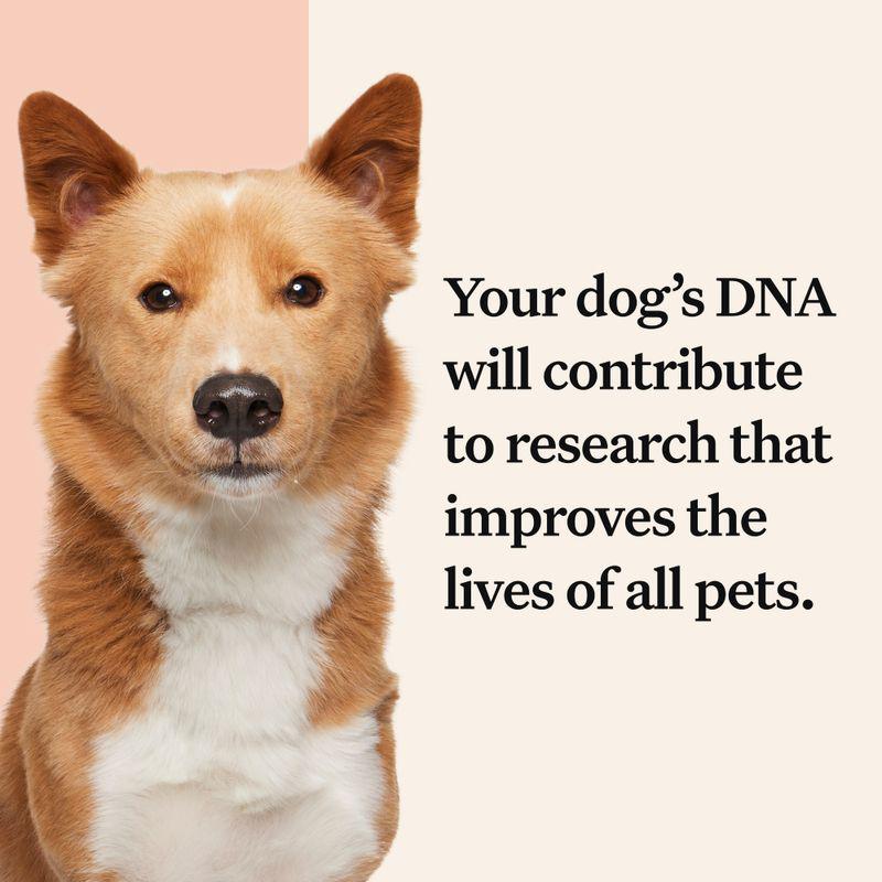 Canine DNA full report