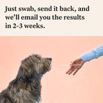 Load image into Gallery viewer, Wisdom Panel Premium Dog DNA Test
