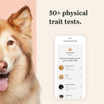 Load image into Gallery viewer, Wisdom Panel Premium Dog DNA Test
