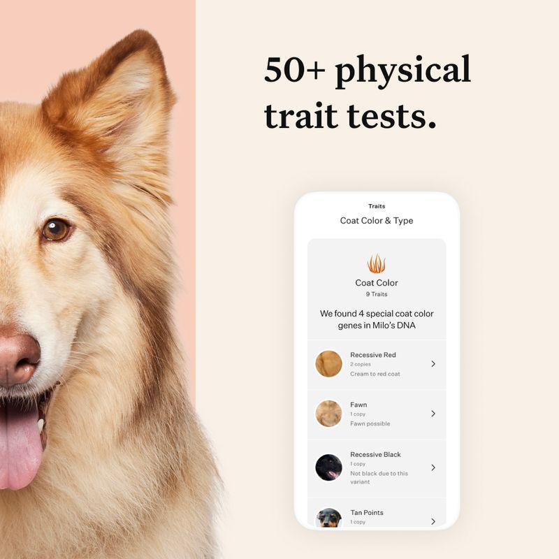 Pet ancestry and traits
