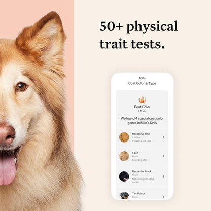 Pet ancestry and traits