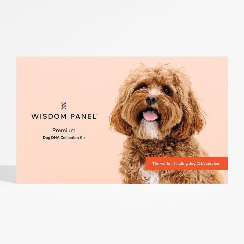 Wisdom Panel Premium Dog DNA Test