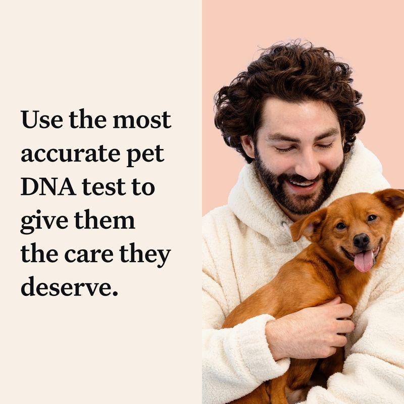 Wisdom Panel Premium Dog DNA Test