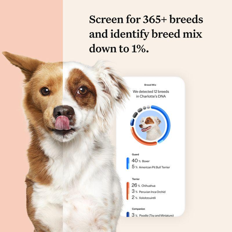 Advanced dog DNA test