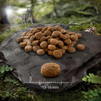 Game meat recipe for dogs