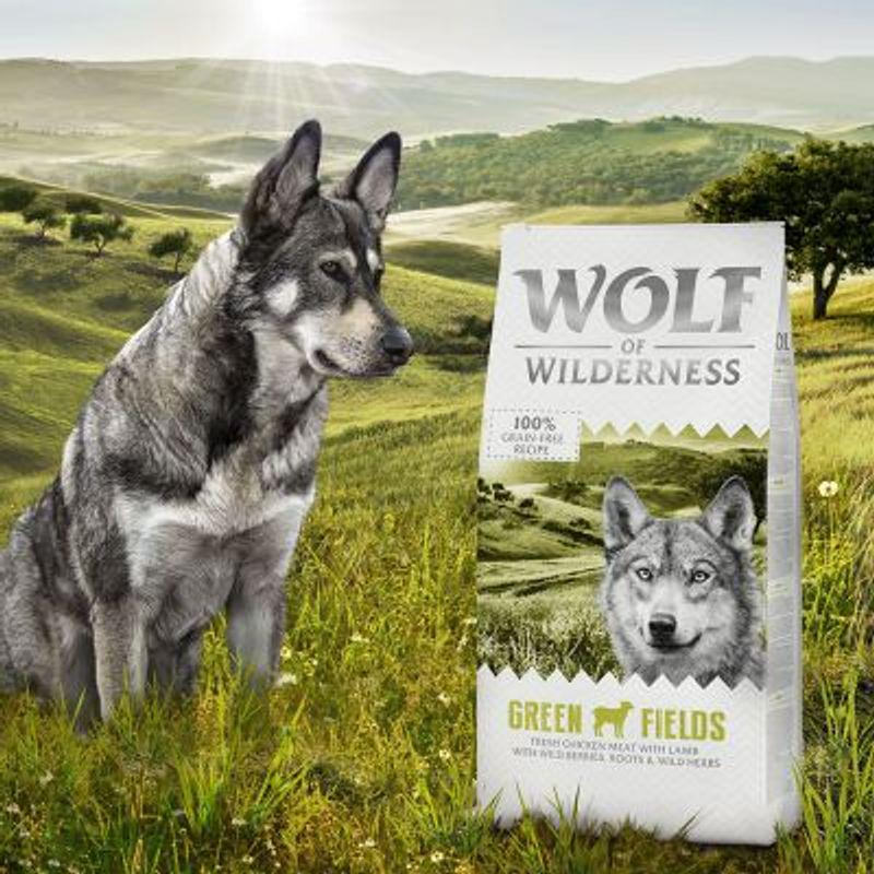 Wolf of Wilderness Adult Green Field Dog Food 