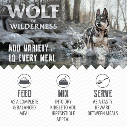 adult wolf wilderness pack