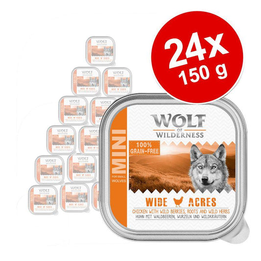 Adult dog food 150g x24